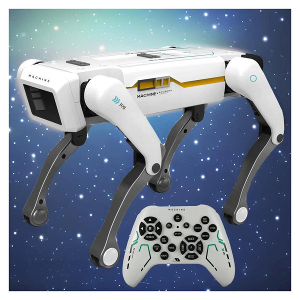 الروبوت الدكي